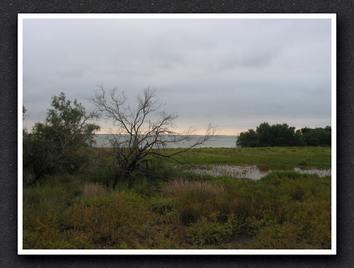 2014-09---Camargue-07
