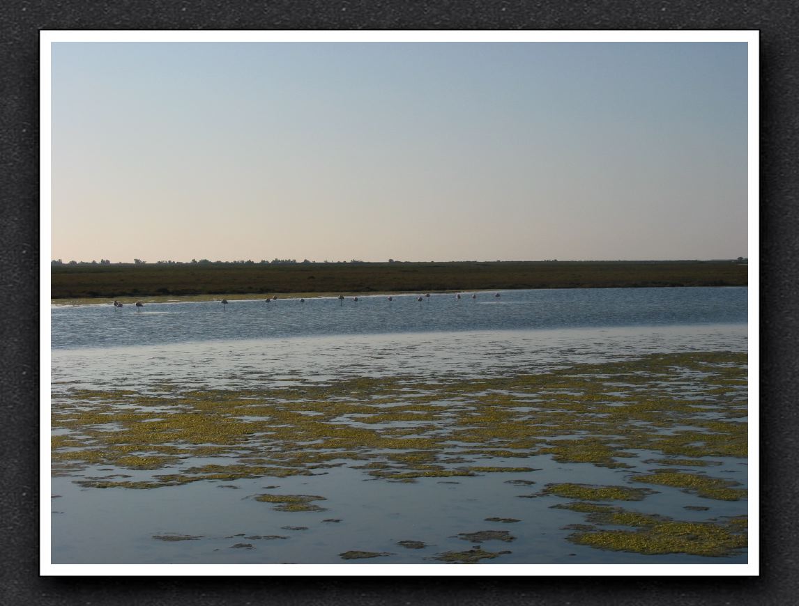 2014-09---SainteMarie-01