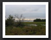 2014-09---Camargue-07